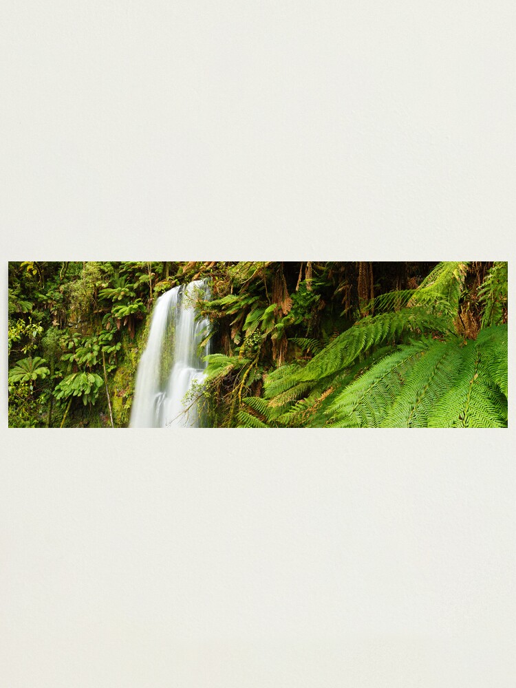 Alternate view of Beachamp Falls, Otways, Victoria, Australia Photographic Print