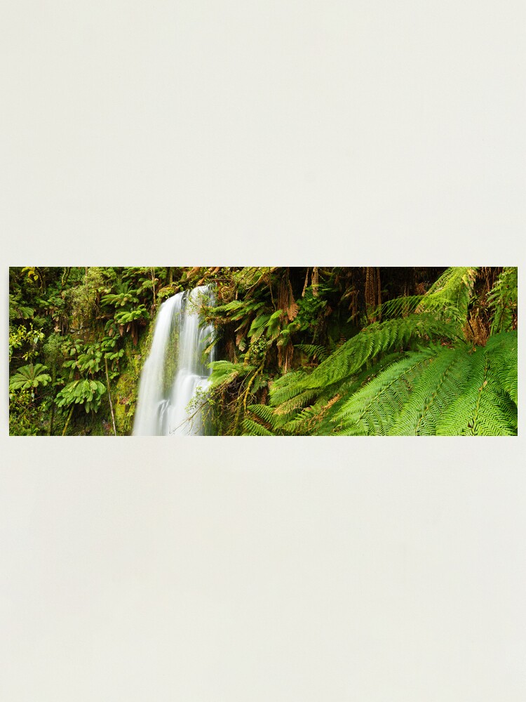 Alternate view of Beachamp Falls, Otways, Victoria, Australia Photographic Print