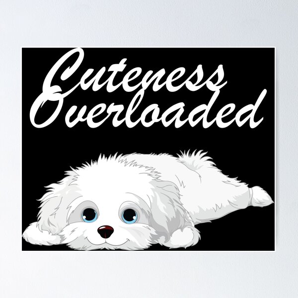 Cuteness Overloaded Posters for Sale