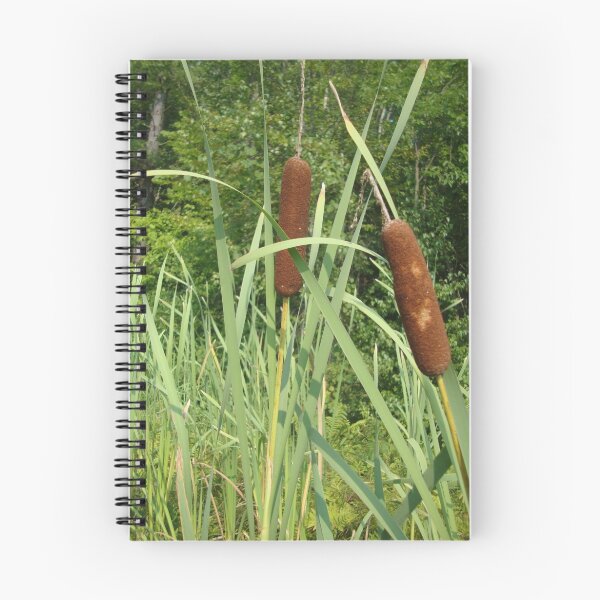 Item preview, Cattail designed and sold by bradleyduncan.