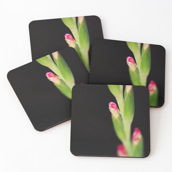 Item preview, Gladiolus Buds In Pink designed and sold by Joy Watson - Natural Light Photography .