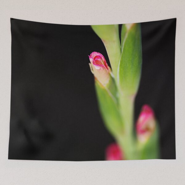Item preview, Gladiolus Buds In Pink designed and sold by Joy Watson - Natural Light Photography .