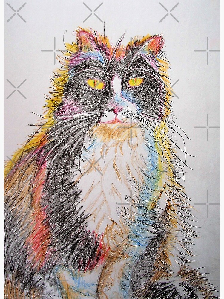 Featured image of post The Best 10 Tuxedo Cat Drawing