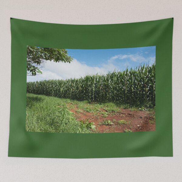 Item preview, Cornfields in Dorrigo, NSW designed and sold by Clare Colins.