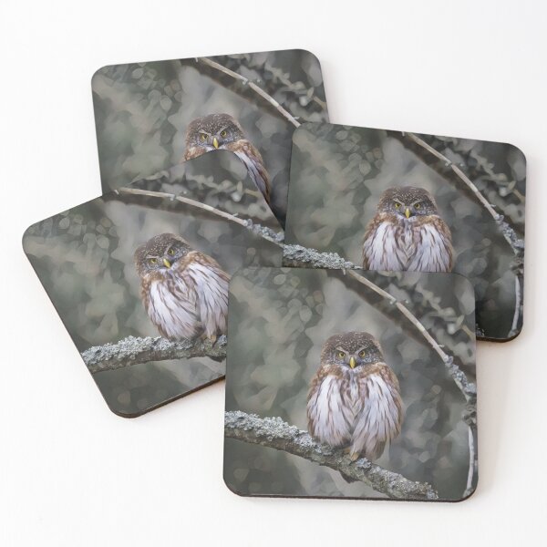 Item preview, Eurasian Pygmy Owl designed and sold by Heathermarie321.