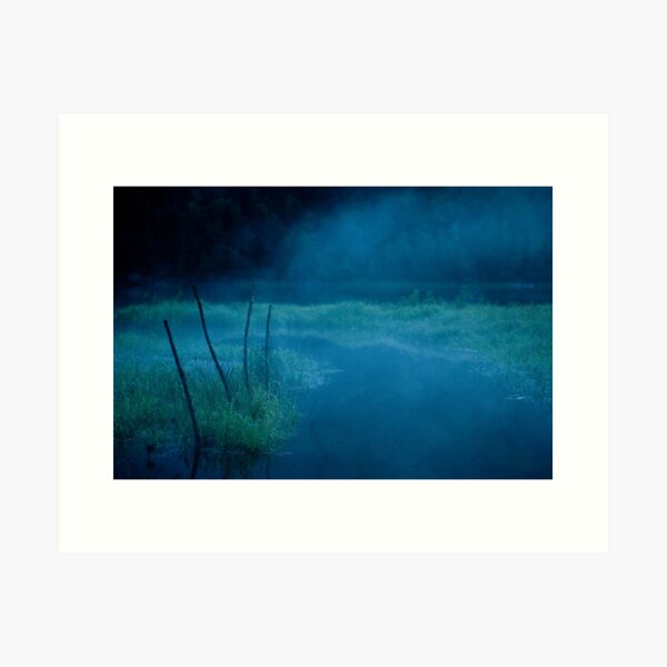 Jondal Art Print