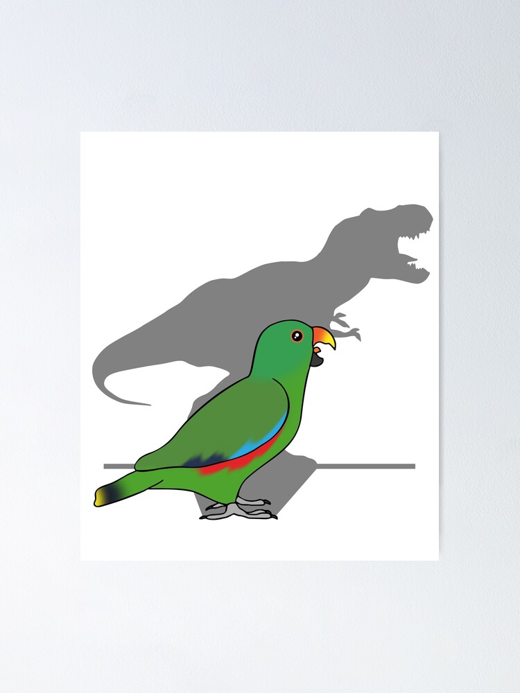 Funny T-rex Male Eclectus | Poster