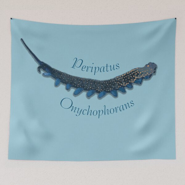 Item preview, Peripatus (Onychophorans) by Chrissy Wild designed and sold by ChrissyWild.