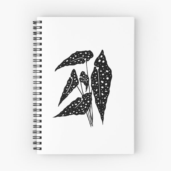 Item preview, Begonia maculata designed and sold by Enami.
