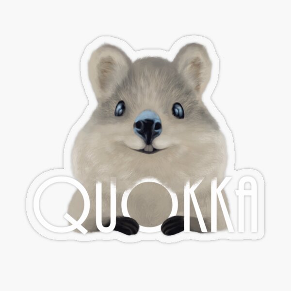 Quokka Sticker transparent