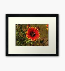 Incendie Fleurir Framed Print