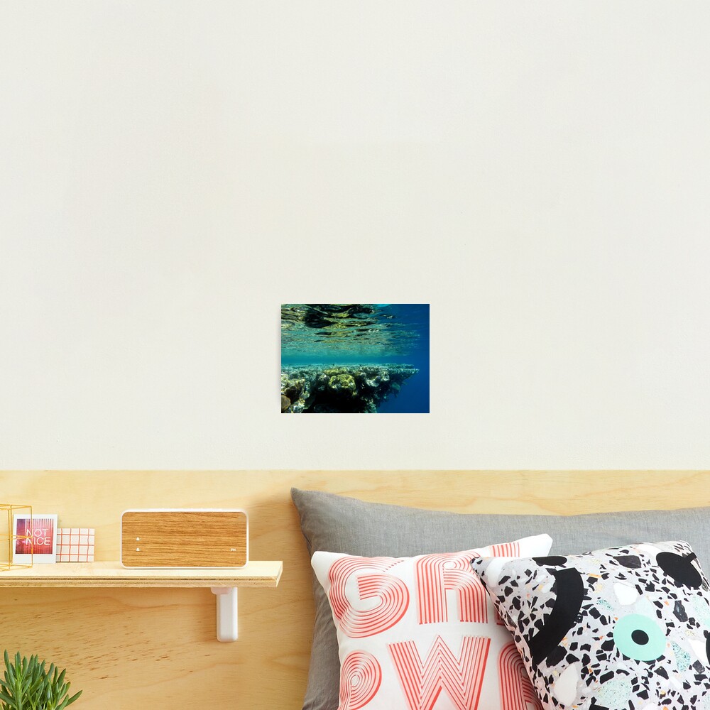 The edge of the Maze Photographic Print
