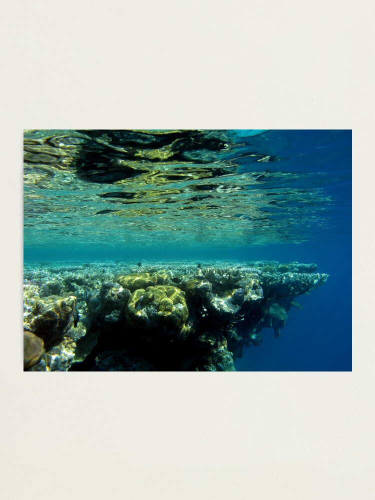 Alternate view of The edge of the Maze Photographic Print