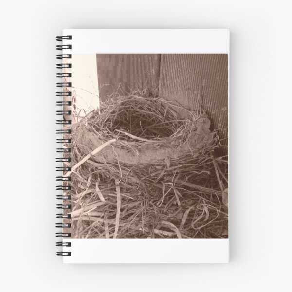 Item preview, Birds nest designed and sold by bradleyduncan.