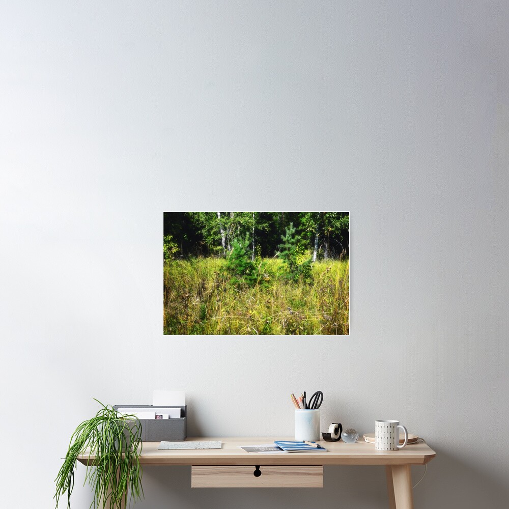 Item preview, Poster designed and sold by Mallorn.