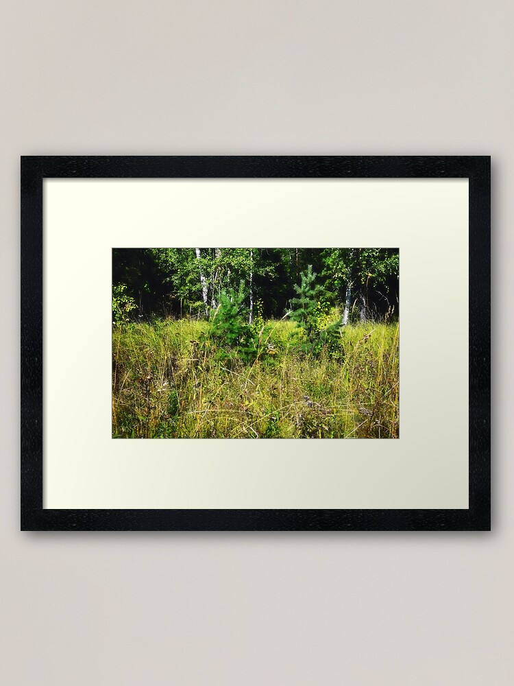 Thumbnail 1 of 7, Framed Art Print, Forest Sisters designed and sold by Mallorn.
