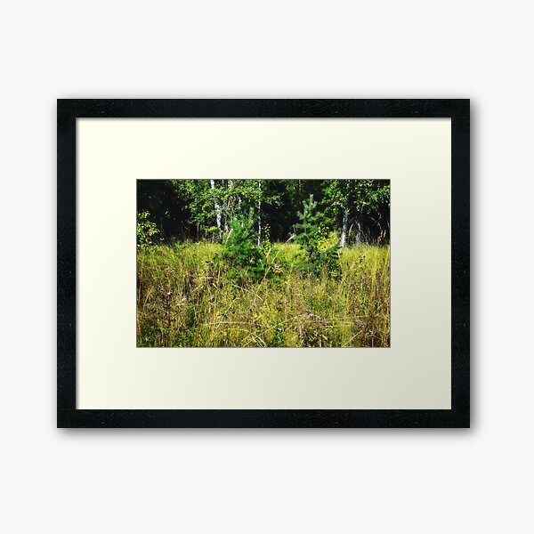 Framed Art Print