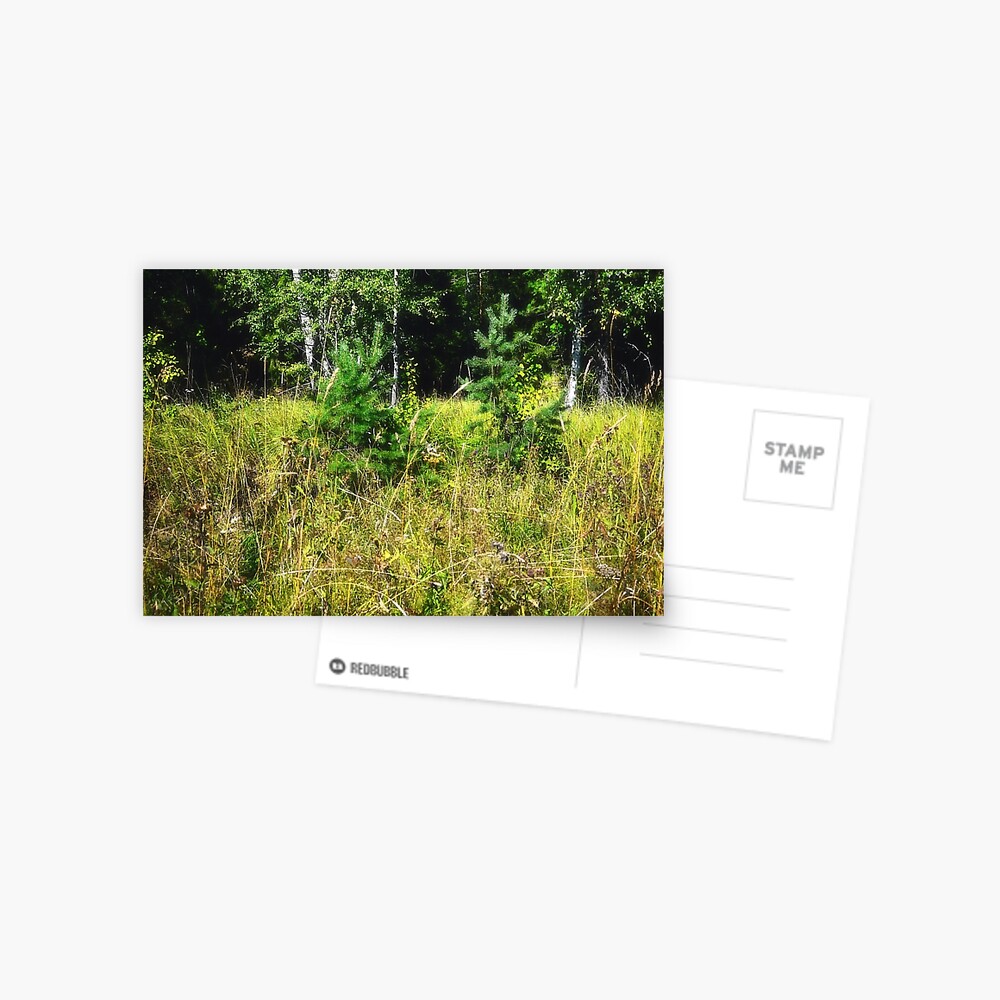 Item preview, Postcard designed and sold by Mallorn.