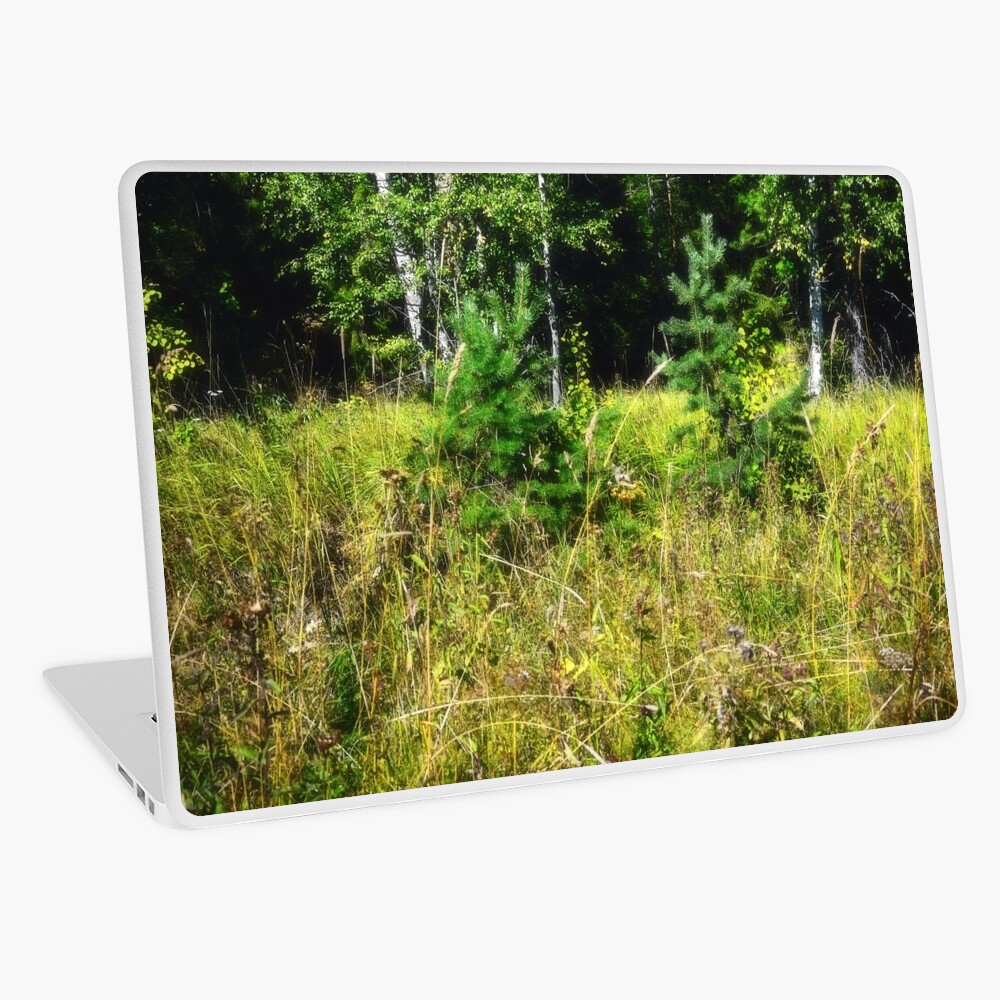 Item preview, Laptop Skin designed and sold by Mallorn.