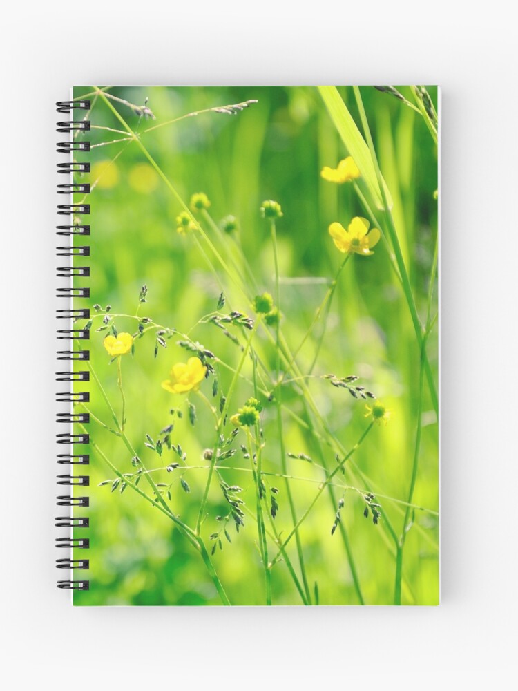 Thumbnail 1 of 3, Journal, Buttercups designed and sold by Mallorn.