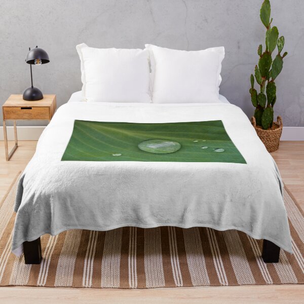 Item preview, Raindrops on Hosta Leaves. designed and sold by Rob-Turner.