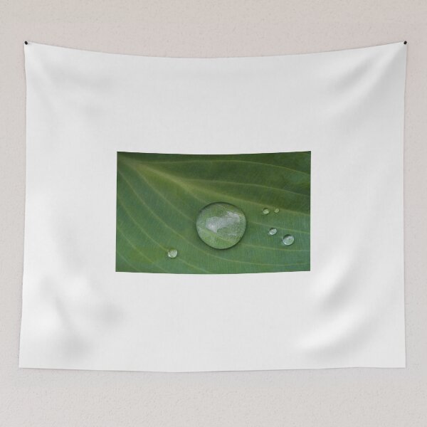 Item preview, Raindrops on Hosta Leaves. designed and sold by Rob-Turner.