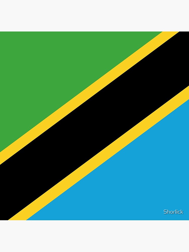 Aperçu 3 sur 3. Coussin avec l'œuvre Drapeau de Tanzanie créée et vendue par Shorlick.