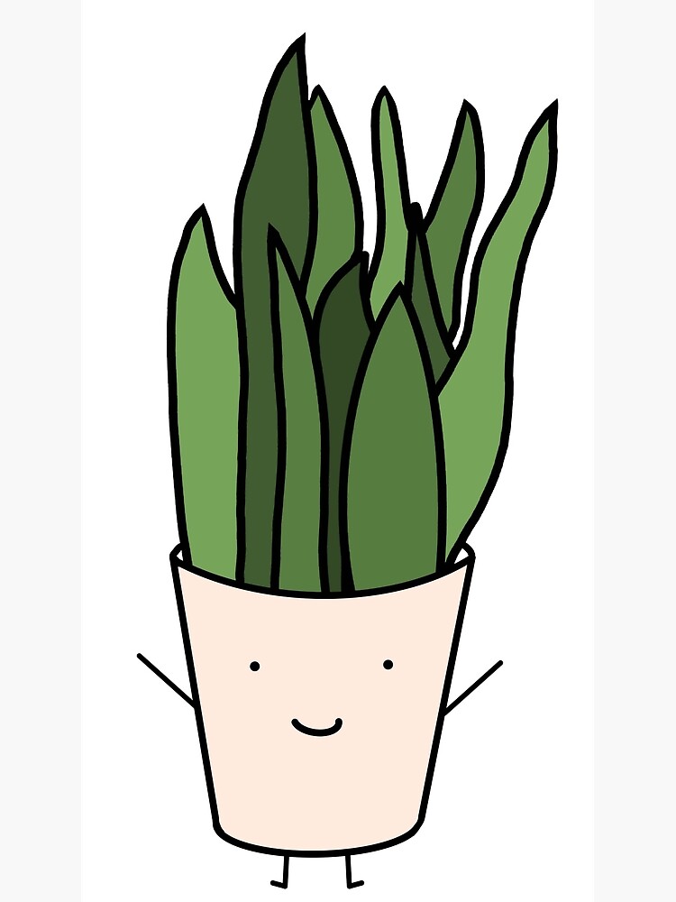 House plant in a planter. Vector outline illustration drawings of coloured  indoor plant in a flowerpot isolated on a white background with a  handwriting caption. Sansevieria, Snake Plant Stock Vector | Adobe