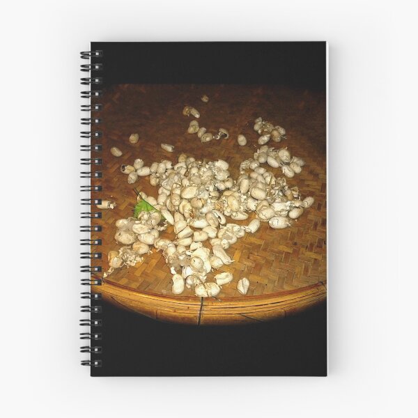 Item preview, Silkworm Cocoons designed and sold by Birgit Moldenhauer.