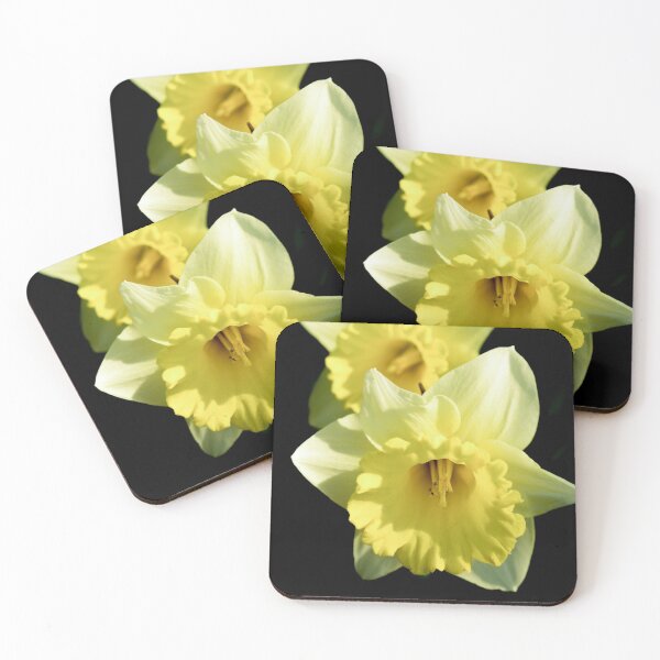 Item preview, Daffodil flower on a black background designed and sold by yarvin13.