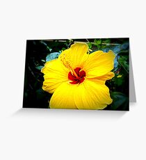 long, enduring friendship Greeting Card