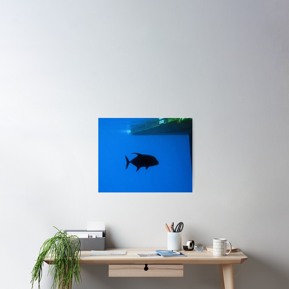 Black King Poster