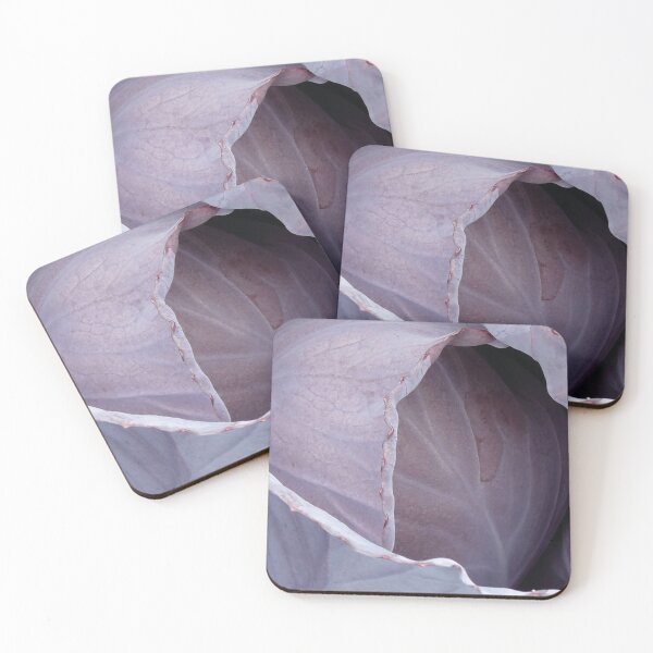 Red cabbage Coasters (Set of 4)