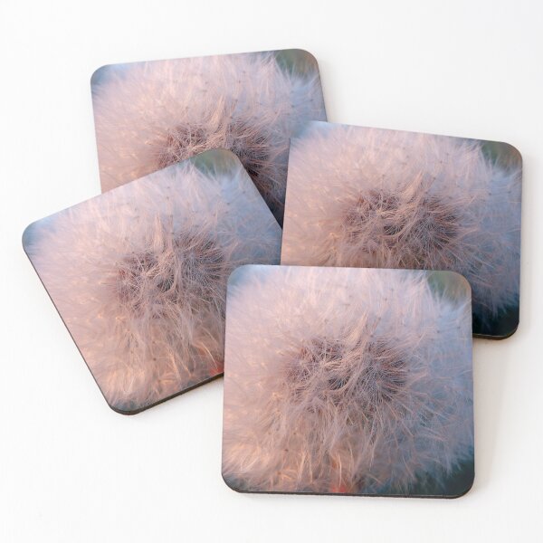 Dandelion Clock Coasters (Set of 4)