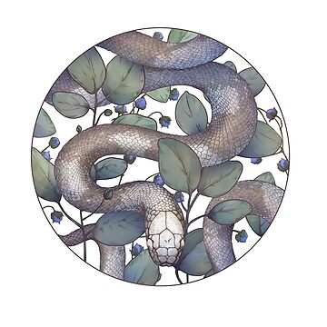 Artwork thumbnail, Grey Snake in Eucalyptus in Circle on White Background, from Poison Flower series by Vsevolod Ziablov