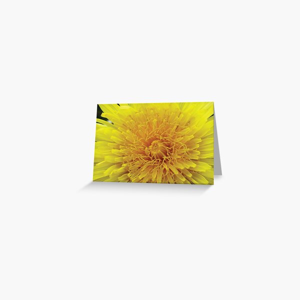 Dandelion flower Greeting Card