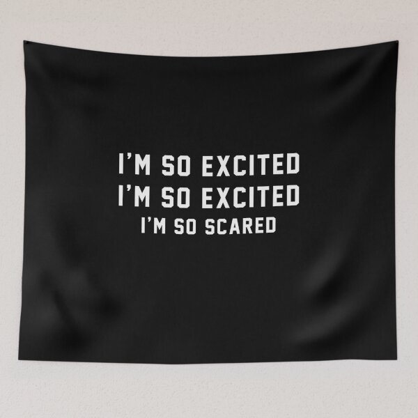 Item preview, I'm so excited, I'm so excited, I'm so scared designed and sold by Primotees.