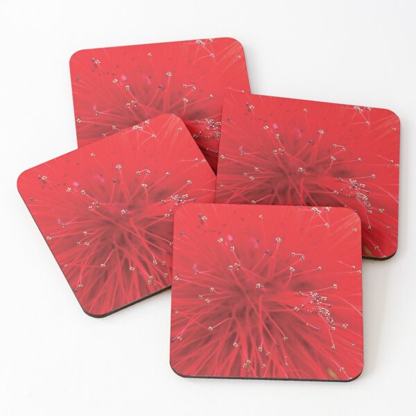 Exotic red flower heart Coasters (Set of 4)