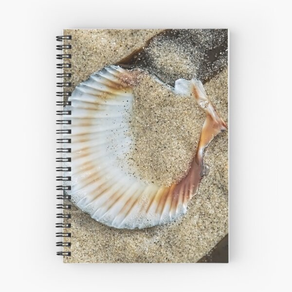 Item preview, Scallop Shell 2 designed and sold by Dorset Girl.