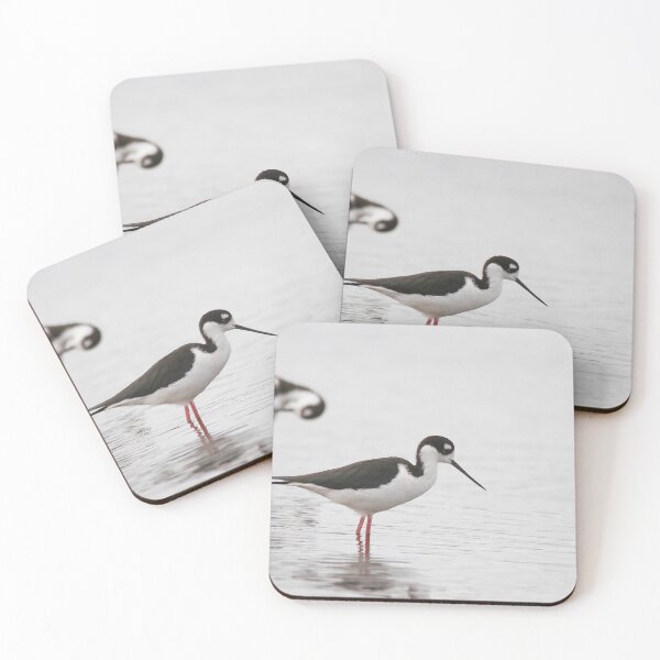Item preview, black necked stilts  designed and sold by miradorpictures.