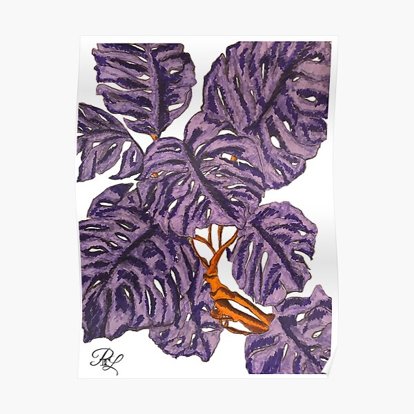 Monstera Purple Plant Poster