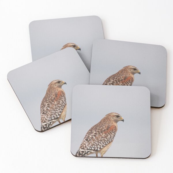 Item preview, Red shouldered hawk designed and sold by miradorpictures.