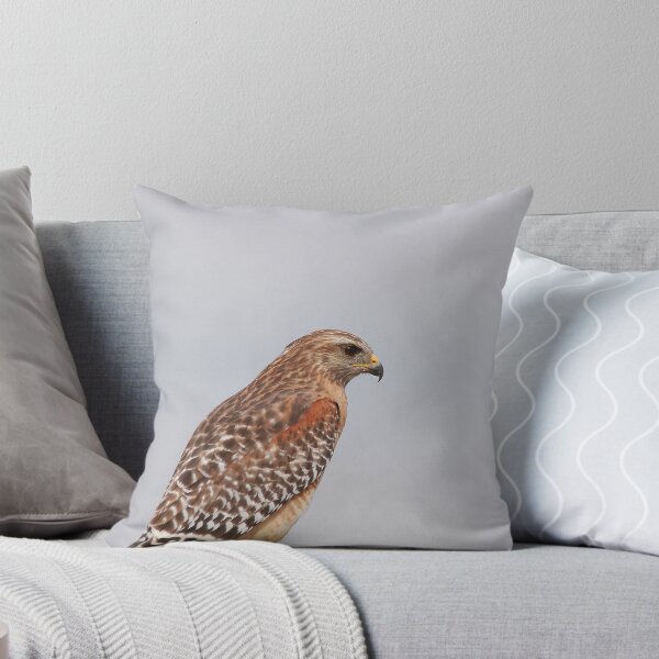 Item preview, Red shouldered hawk designed and sold by miradorpictures.