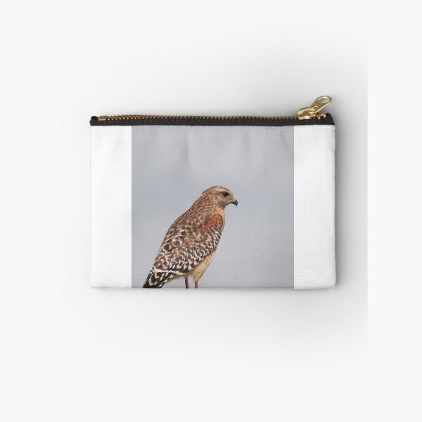 Item preview, Red shouldered hawk designed and sold by miradorpictures.