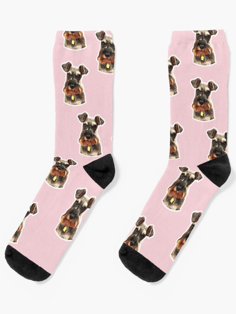 dog socks custom