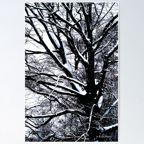 Item preview, On a Cold Winter Day designed and sold by © CK Caldwell IPA.