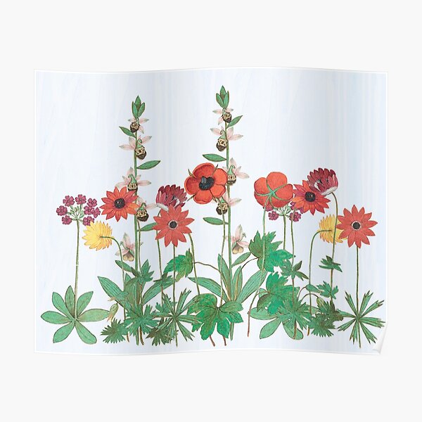 Grow a garden Poster