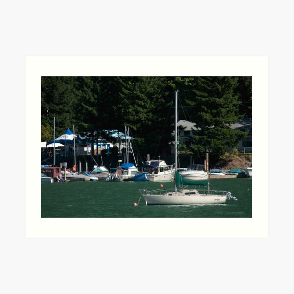 Boats at Harrison Hot Springs Art Print
