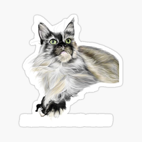 Item preview, Maine Coon designed and sold by Raphaela Pohle.