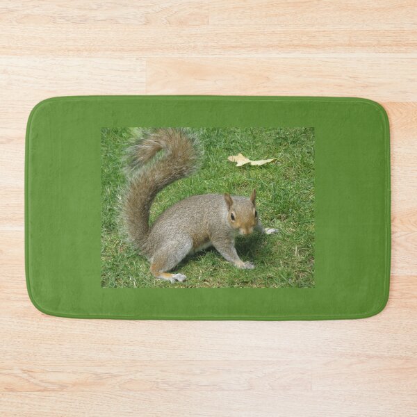 Item preview, Grey Squirrel with a Curly Tail Photograph designed and sold by naturegallery.